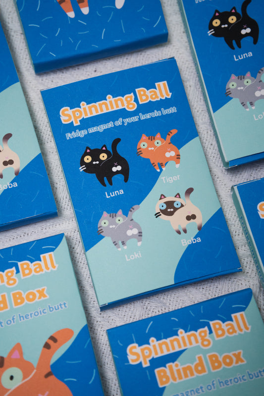 Spinning Egg Magnet Blind Box