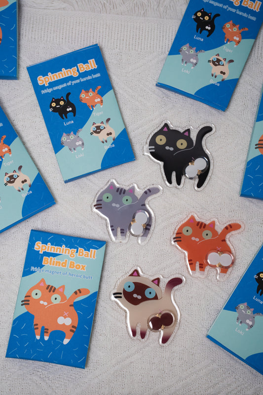 Spinning Egg Magnet Blind Box